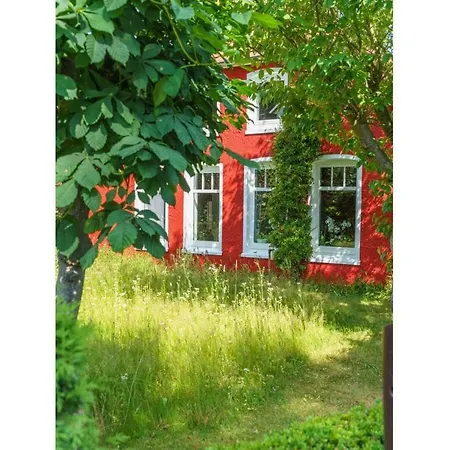 Sauer Large Дангаст