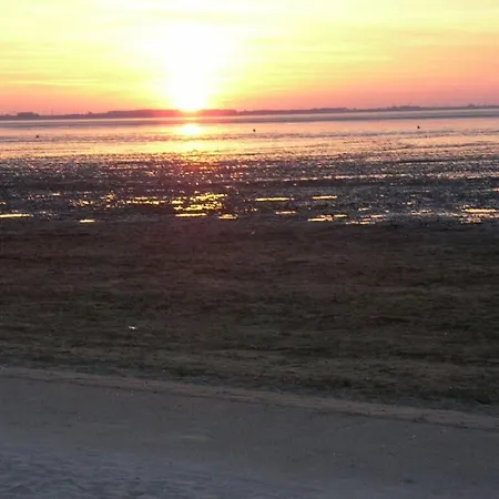 Sauer Large Апартаменты