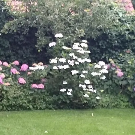 Διαμέρισμα Sauer Large