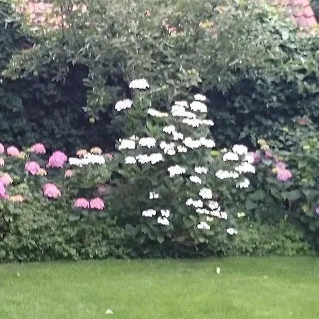 Апартаменты Sauer Large