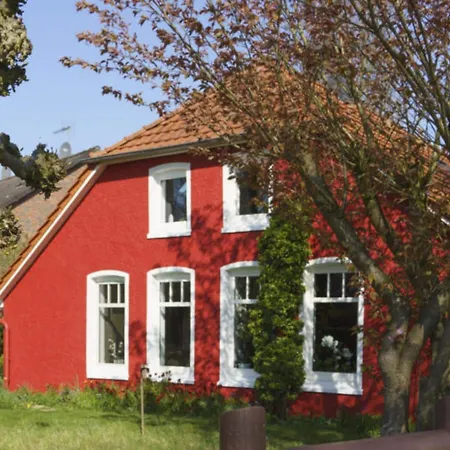 Sauer Large Дангаст