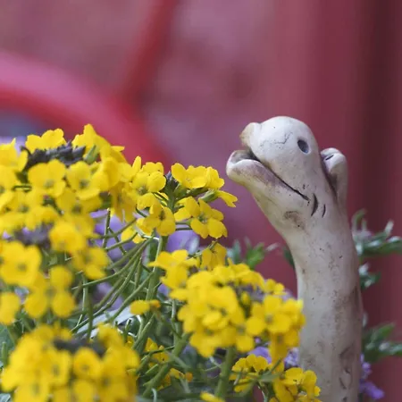 Sauer Large Апартаменты Дангаст